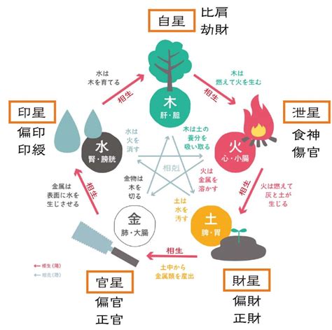 偏財正財|四柱推命【正財】の意味｜性格・適職・恋愛・運勢を 